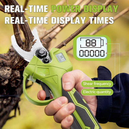 BranchForce Pruner
