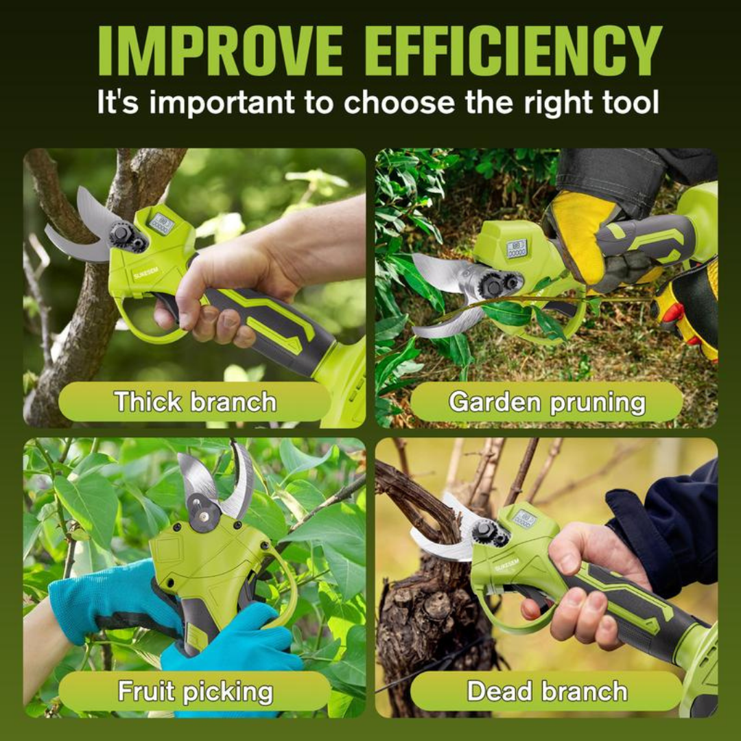 BranchForce Pruner
