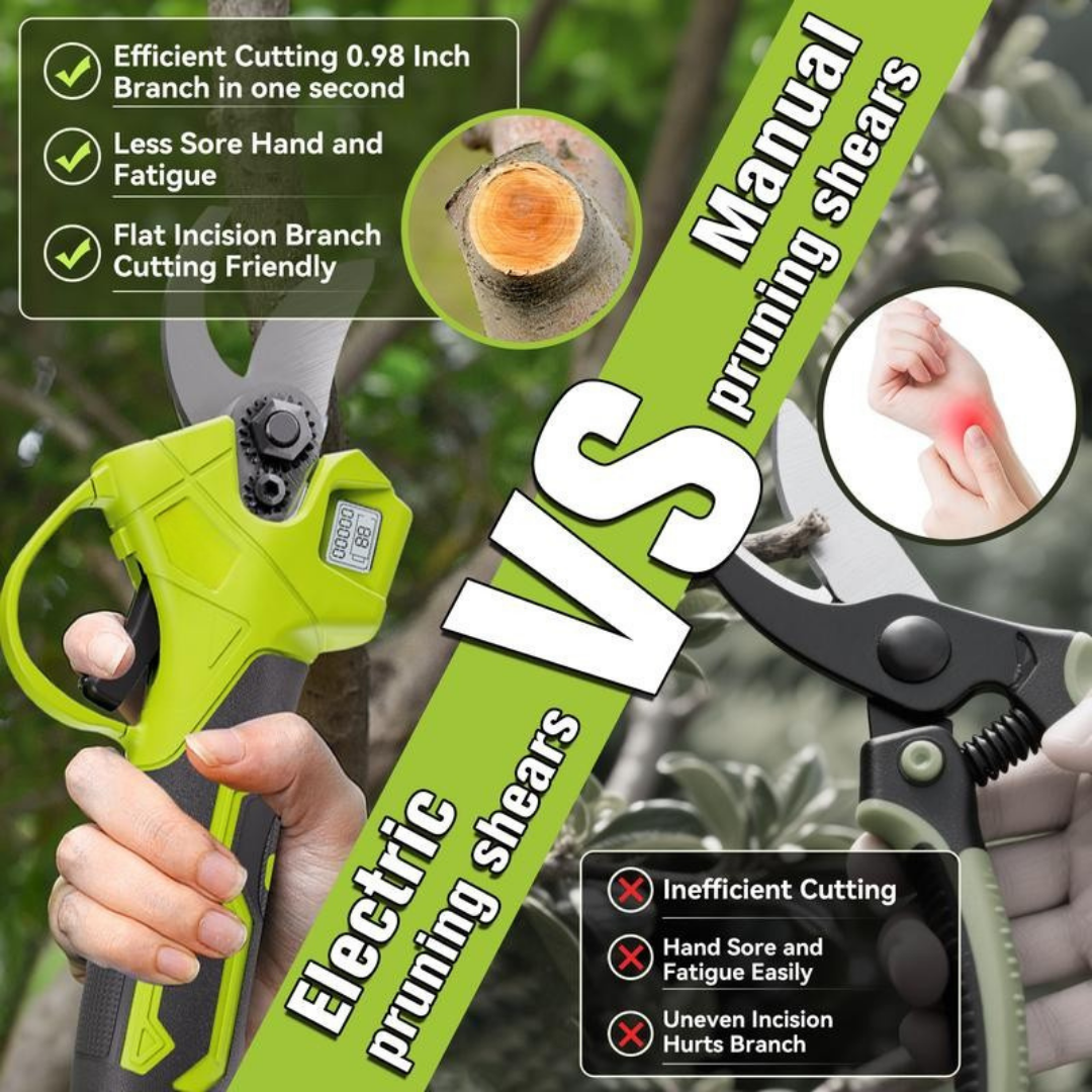 BranchForce Pruner