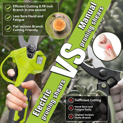 BranchForce Pruner