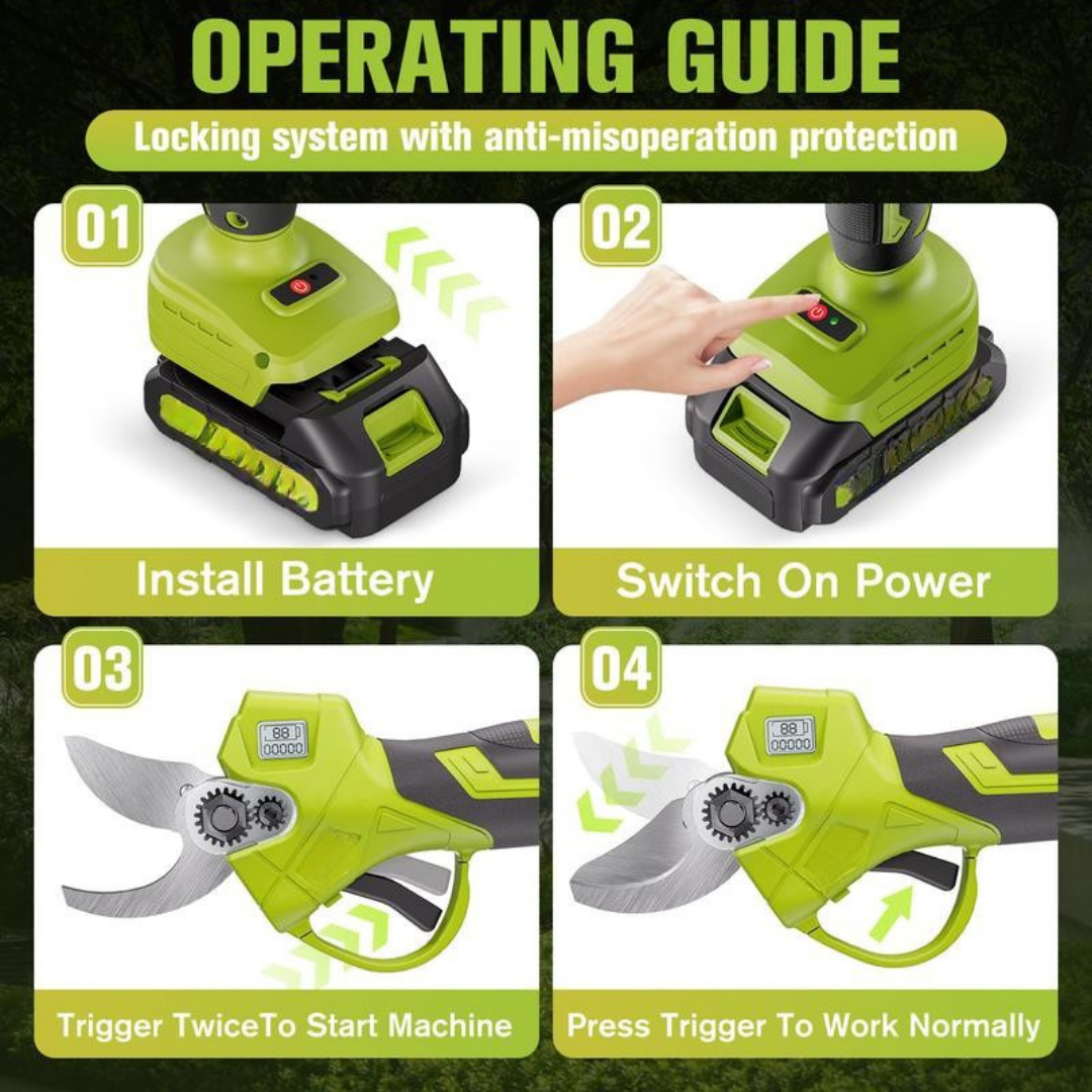 BranchForce Pruner