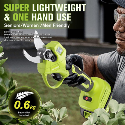 BranchForce Pruner