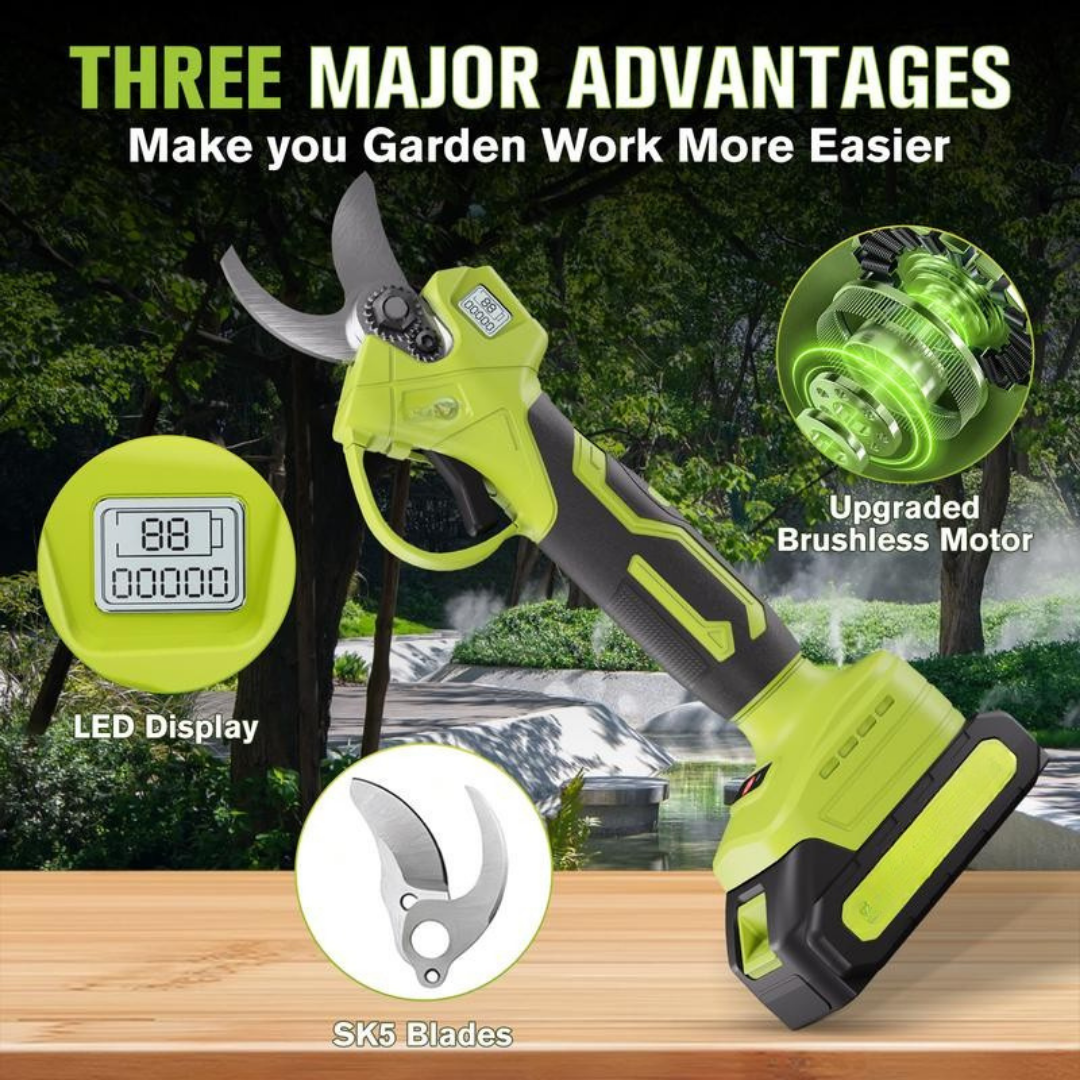 BranchForce Pruner